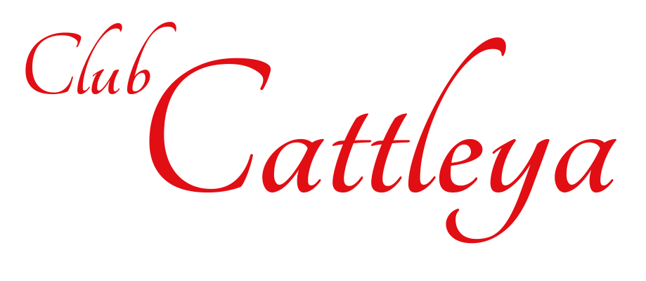 キャバクラCattleya（カトレア）のロゴ